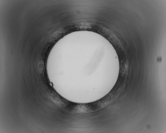 X0000101200704200807251026