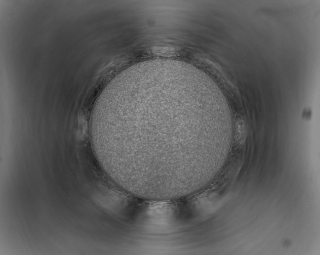 X0000101200705200807251026