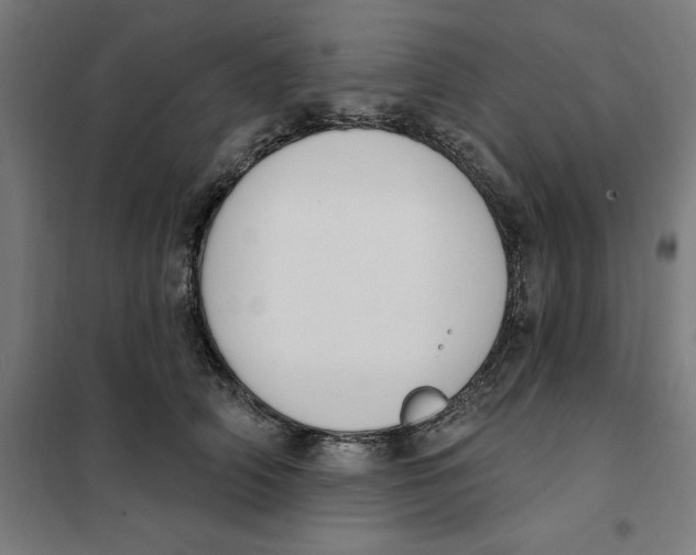 X0000101200706200807251026