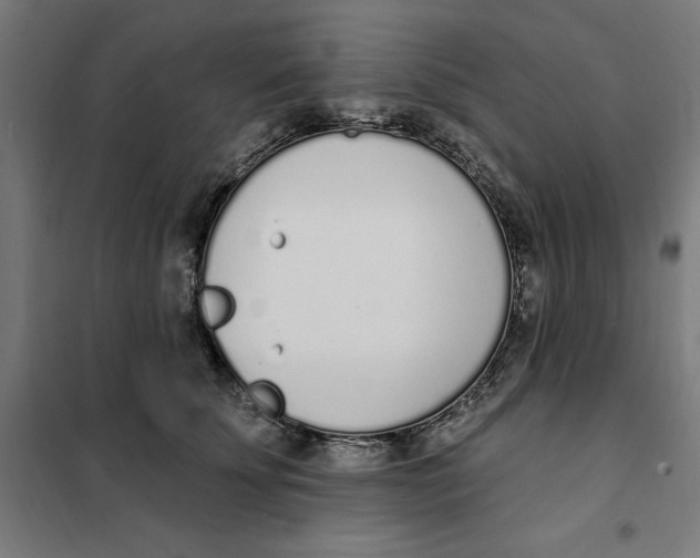 X0000101200707200807251026