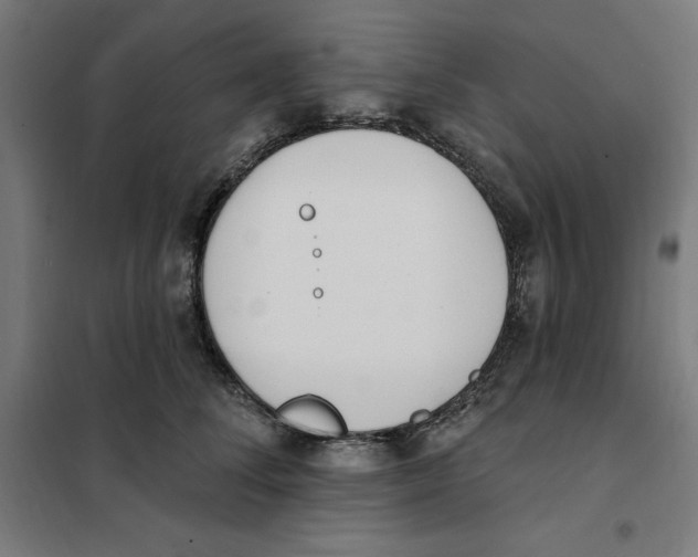 X0000101200708200807251026