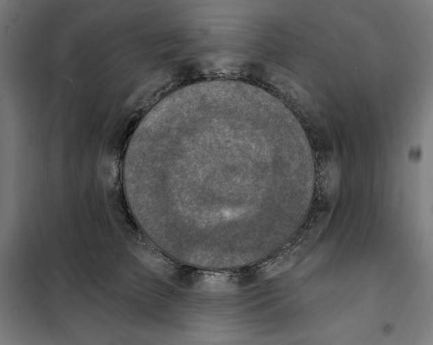 X0000101200709200807251026