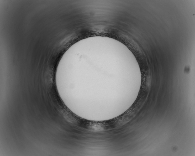 X0000101200710200807251026