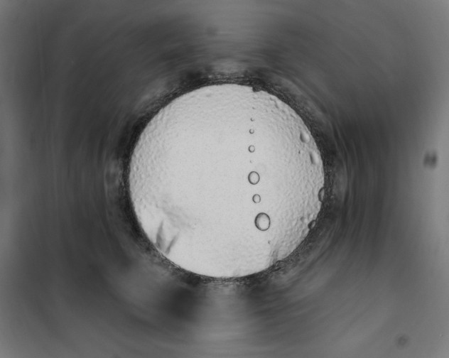 X0000101200711200807251026