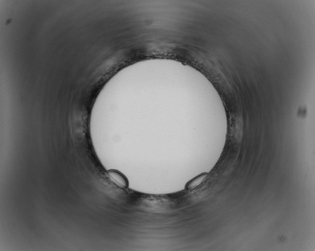 X0000101200712200807251026