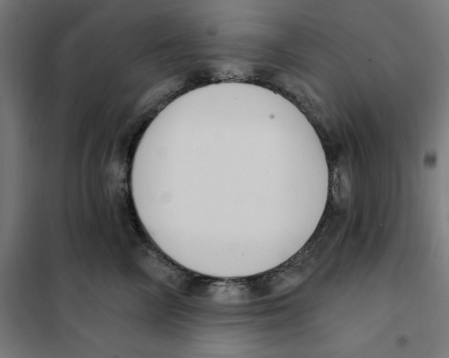 X0000101200714200807251026