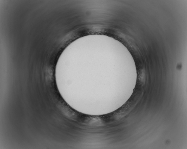 X0000101200715200807251026