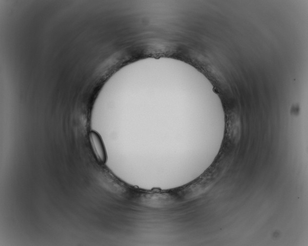 X0000101200716200807251026