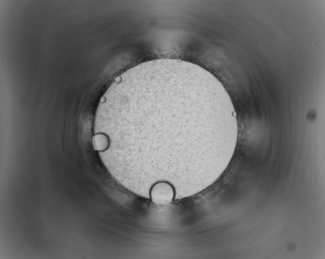 X0000101200717200807251026