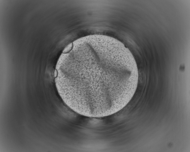 X0000101200718200807251026