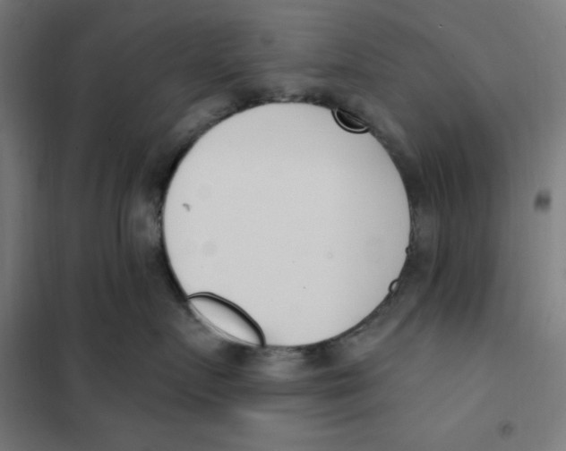 X0000101200719200807251026