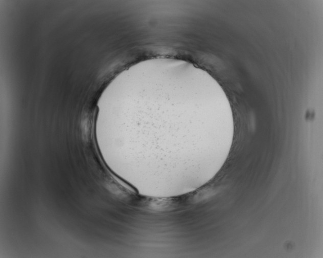 X0000101200720200807251026