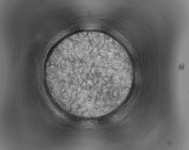 X0000101200721200807251025