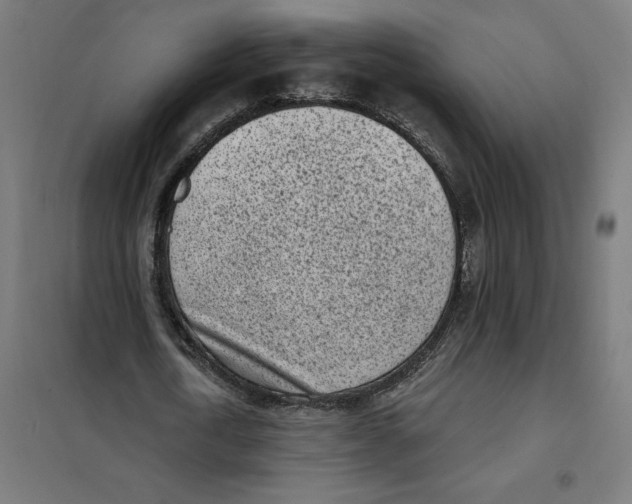 X0000101200722200807251025