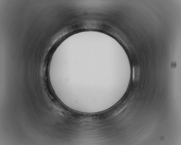 X0000101200723200807251025