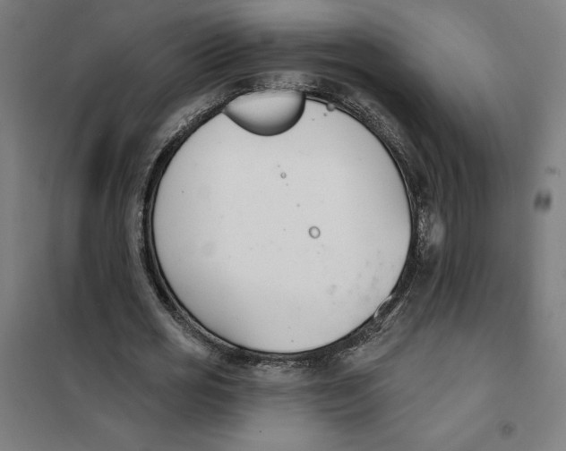 X0000101200725200807251025