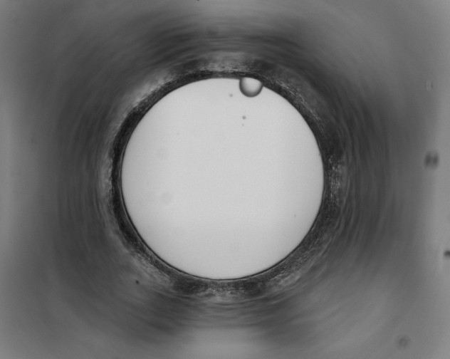 X0000101200727200807251025