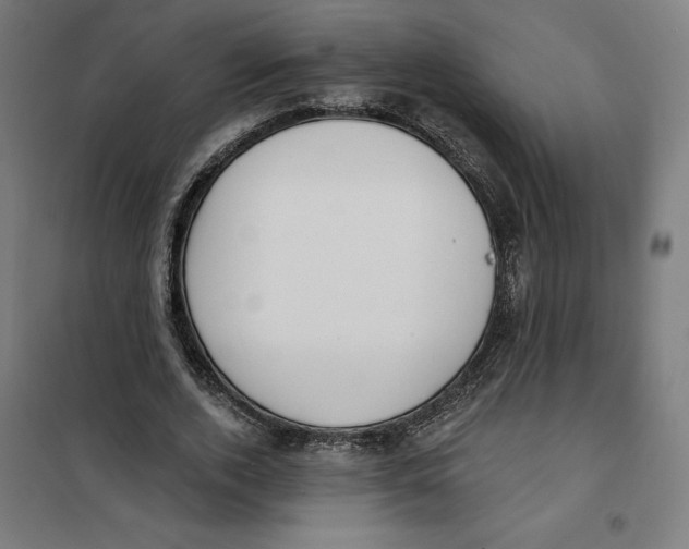 X0000101200728200807251025