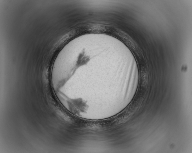 X0000101200729200807251025