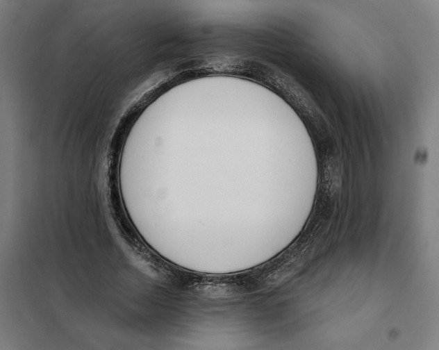 X0000101200730200807251025