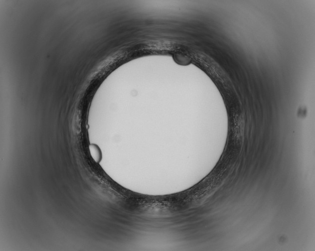 X0000101200731200807251025