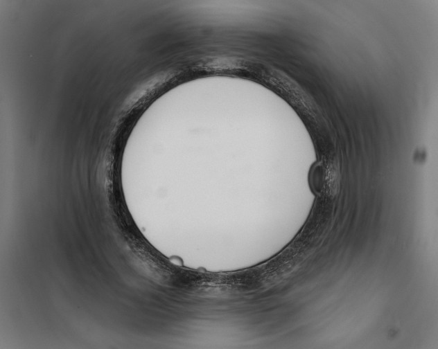 X0000101200732200807251025