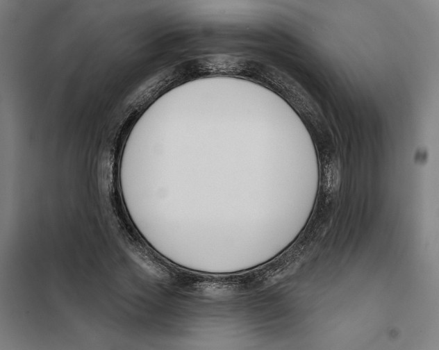 X0000101200733200807251025