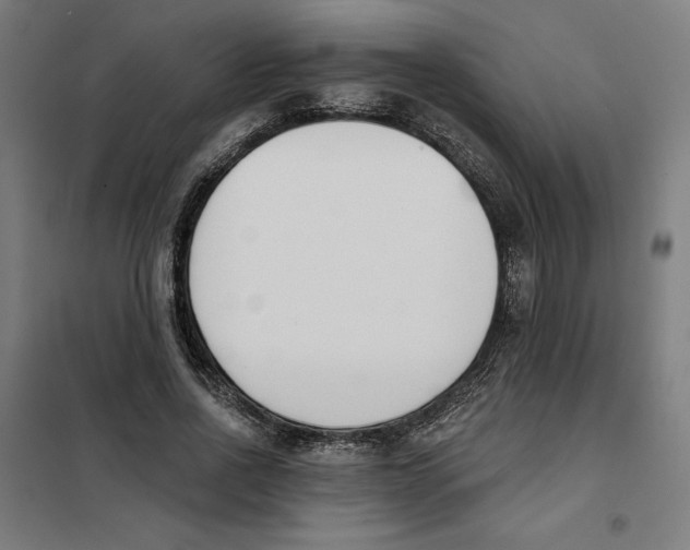 X0000101200734200807251025