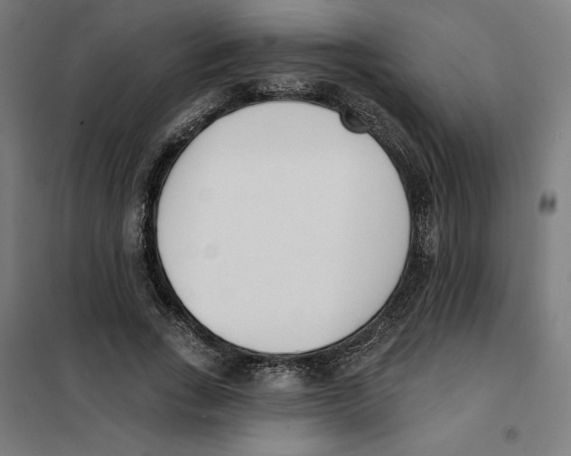 X0000101200735200807251025