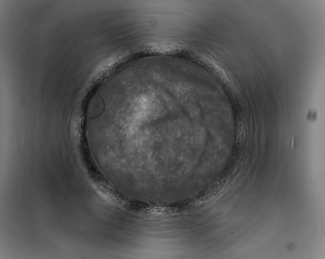 X0000101200736200807251025