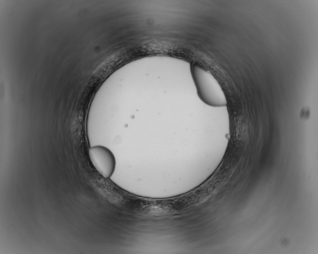 X0000101200737200807251025