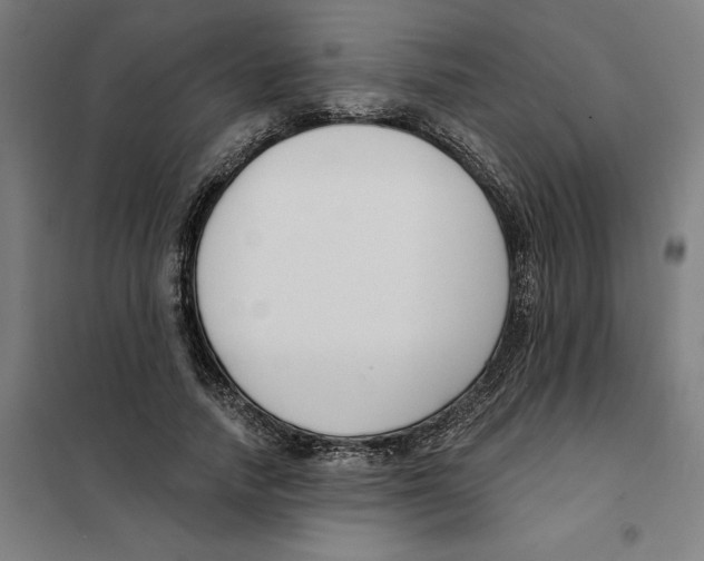 X0000101200738200807251025