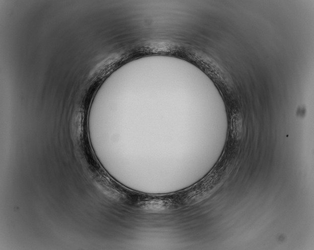 X0000101200740200807251025