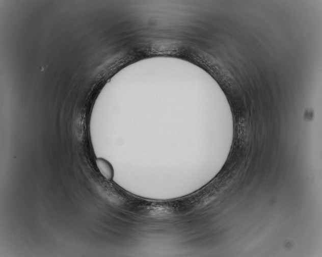 X0000101200741200807251025