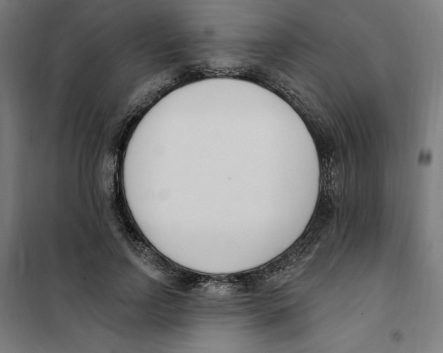 X0000101200742200807251025