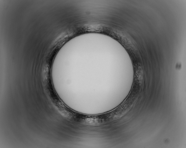 X0000101200744200807251025