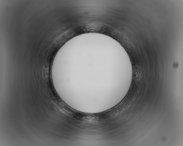 X0000101200745200807251025