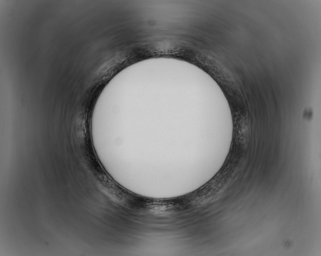 X0000101200746200807251025