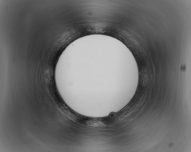 X0000101200747200807251025