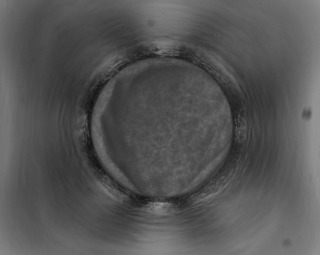 X0000101200748200807251025