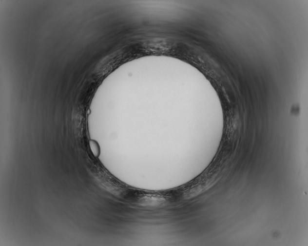 X0000101200749200807251025