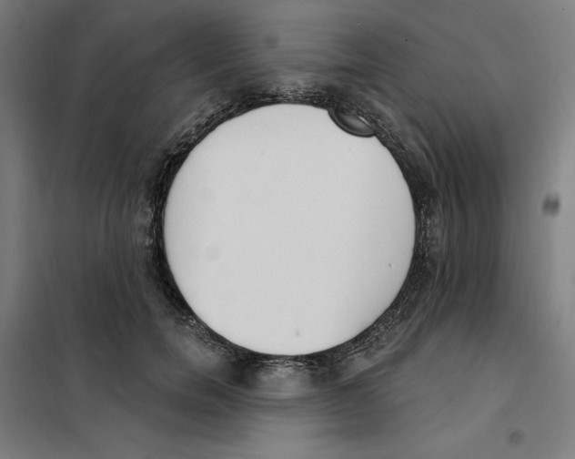 X0000101200750200807251025