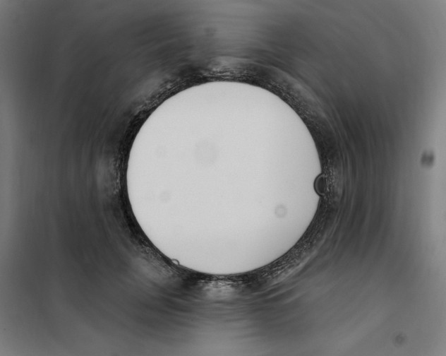 X0000101200751200807251025