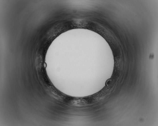 X0000101200752200807251025