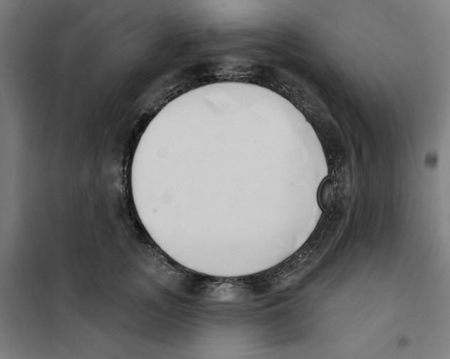 X0000101200755200807251025