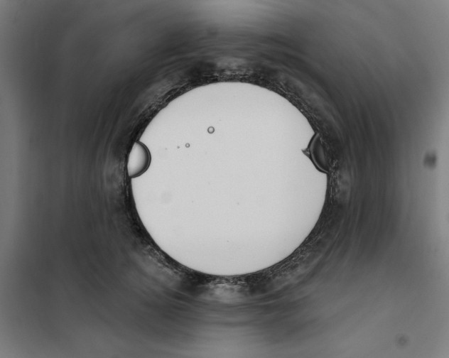 X0000101200756200807251025