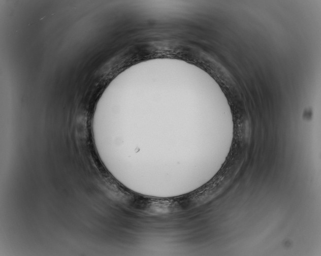 X0000101200757200807251025