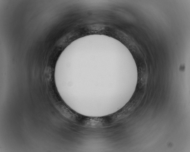 X0000101200758200807251025