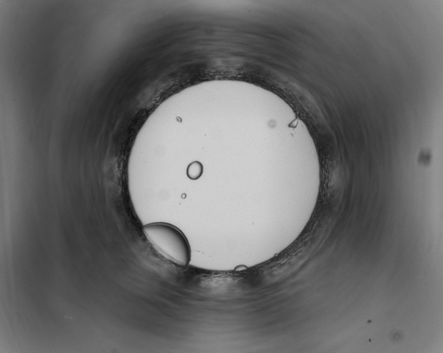 X0000101200759200807251025