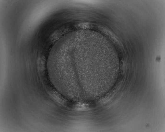 X0000101200760200807251026